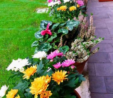 Dorsoduro Cama Y Desayuno | B&B HORTUS