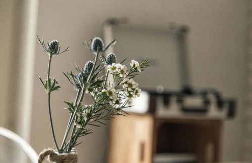 Baunei Cama Y Desayuno | B&B I Cinque Mori
