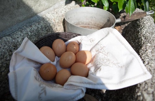 Mergozzo Cama Y Desayuno | B&B I Corni di Nibbio