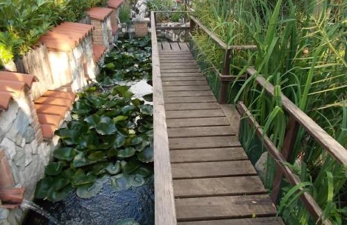 Coppito Cama Y Desayuno | B&B Il Giardino Acquatico