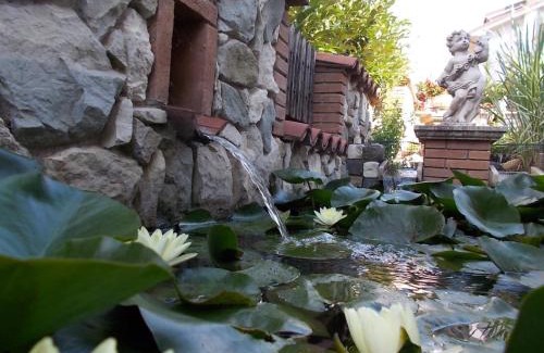 Coppito Cama Y Desayuno | B&B Il Giardino Acquatico