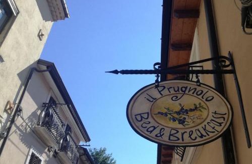Castel di Sangro Cama Y Desayuno | B&B Il Prugnolo