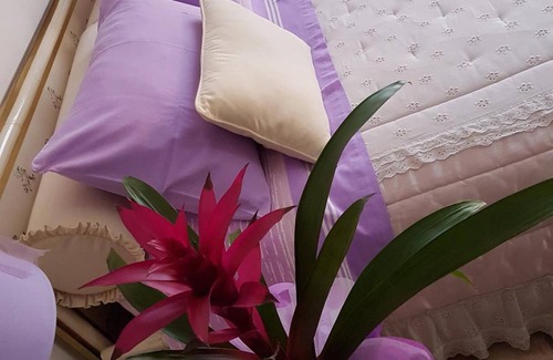 Dalmine Cama Y Desayuno | B&B La Delice