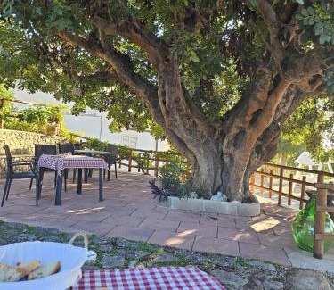 Mattinata Cama Y Desayuno | B&B La Scapola
