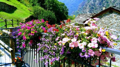 Lillianes Cama Y Desayuno | B&B Maison Vallomy