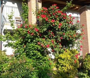 Marostica Cama Y Desayuno | B&B Marostica