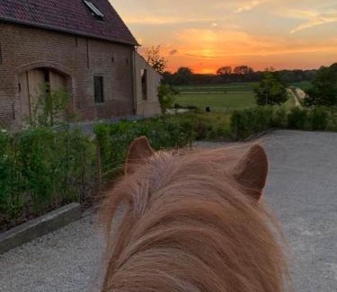 Oudenaarde Cama Y Desayuno | B@B Martinushoeve