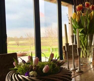 Oudenaarde Cama Y Desayuno | B@B Martinushoeve