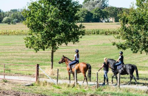 Oudenaarde Cama Y Desayuno | B@B Martinushoeve
