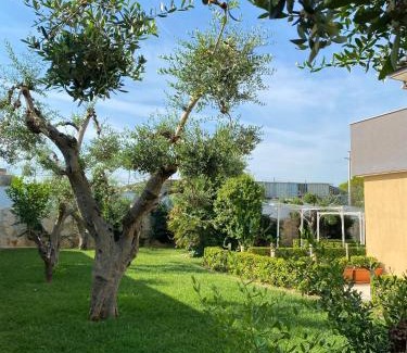 Municipio 4 Cama Y Desayuno | B&B MIRAGE