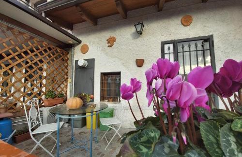 Albanella Cama Y Desayuno | B&B Nonna Angela