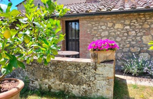 Sovicille Cama Y Desayuno | B&B Palazzo a Merse