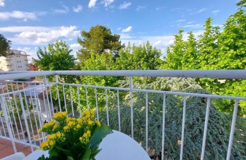 Riccione Cama Y Desayuno | B&B Riccione SENZA PENSIERI