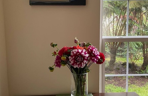 Volcano Casa | B&B: Royal Orchid Suite mins from Volcanoes National Park