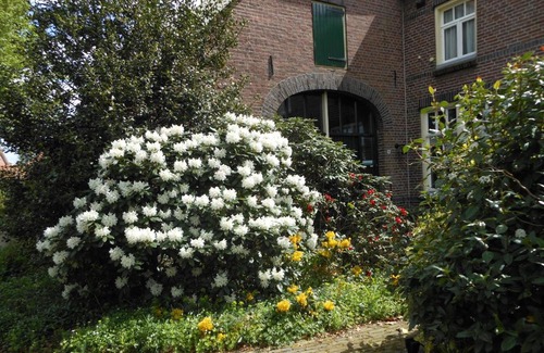 Neede Cama Y Desayuno | B&B Ruwenhof