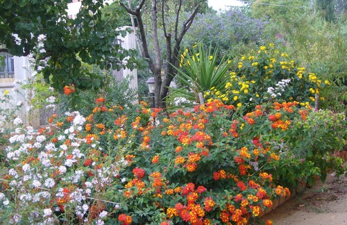 Caltanissetta Villa | B & B St. ELIA ROSA suites: VILLA ENCANTO situado en el histórico Parque DUBINI