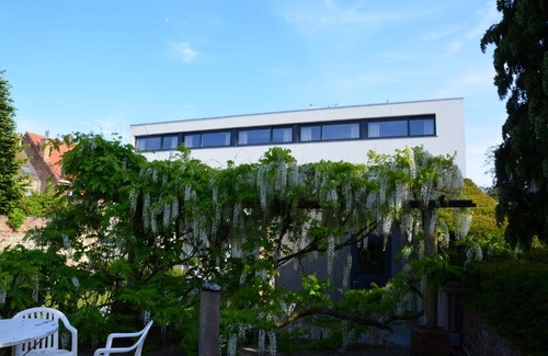 Diksmuide Cama Y Desayuno | B&B 't Withuis