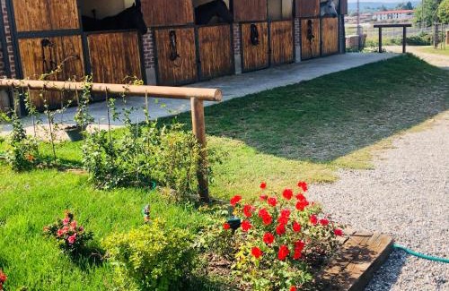 Sesto Calende Cama Y Desayuno | B&B Tenuta Legnate