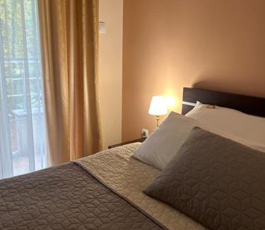 Arandelovac Cama Y Desayuno | B&B Vila Vidikovac