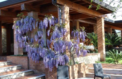 Alatri Cama Y Desayuno | B&B Villa Sbaraglia