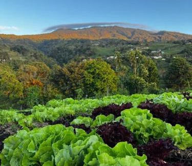 Santa Cruz de Turrialba Apartamento | B&N Farm Stay Casita