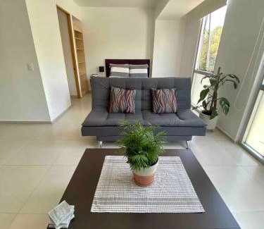 Cuauhtemoc Apartamento | B204 - 1BR - 1BTh