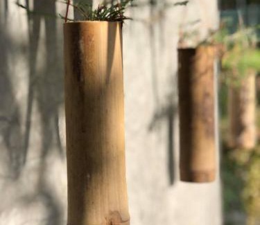 Suan Luang Casa | Baan Loylom Farmstay