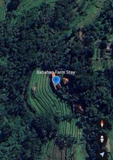 Penebel Cabina | Babahan Farmstay