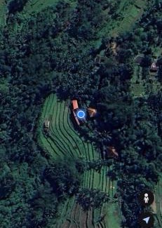 Penebel Cabina | Babahan Farmstay