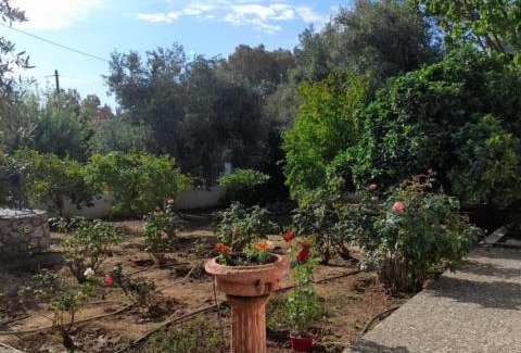 Selinia Casa | Babis Garden Salamina