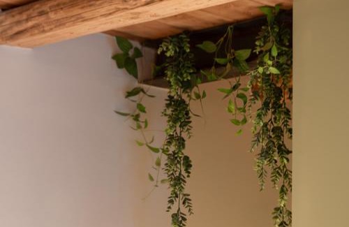 Bassano del Grappa Cama Y Desayuno | BACARìA BED&BREAKFAST