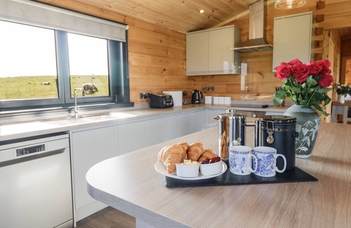 Aberhosan Cabaña | BACHEIDDON LOG CABIN, pet friendly, with hot tub in Machynlleth
