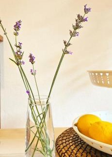 San Pellegrino Terme Apartamento | Baciati dal Sole-Self check-in