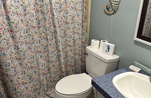 Edenton Casa | Back to the Basics