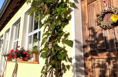 Hauenstein Apartamento | BACKELBÜ: nuestra estancia más querida para los huéspedes en Hauenstein