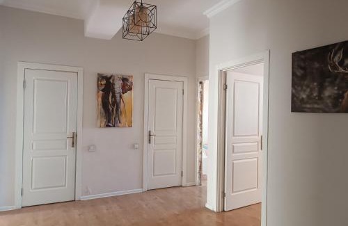 Ganja Apartamento | Backpackers Base