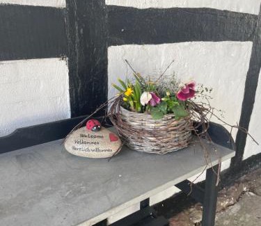 Naesby Cama Y Desayuno | Baekgaarden 3 rooms Apartment - old farm house