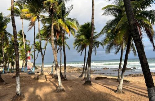Itapua Apartamento | Bahia tropicalia
