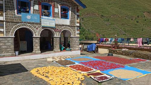 Chamiyala Casa | Bakri Chhap Stays The Art Village