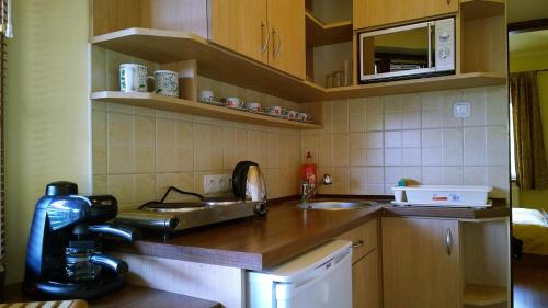 Gyula Apartamento | Balázs Szálló
