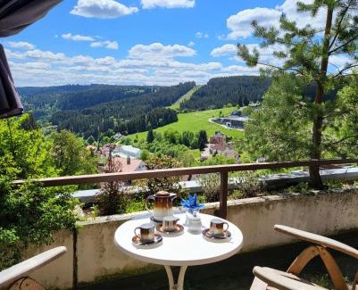 Schonach im Schwarzwald Apartamento | Balcony-Apartment besides forest