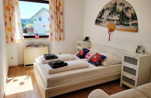 Schonach im Schwarzwald Apartamento | Balcony-Apartment besides forest