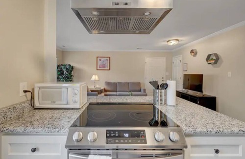 Durham Apartamento | Balcony - Downtown - Duke - UNC - Pet Friendly