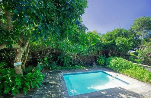 Zitundo Casa | Baleia Azul 26