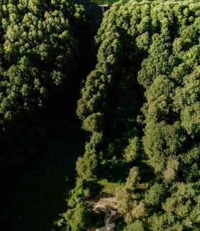 Tuczno Casa | Balia i Las Domek nad jeziorem MoreLife House