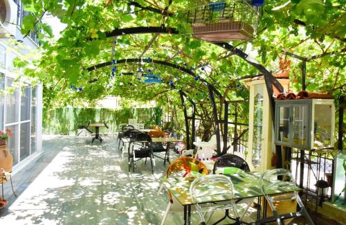 Cesme Cama Y Desayuno | Balim Sultany