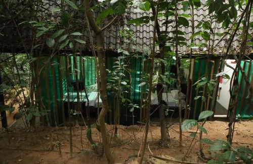 Hatton Complejo | Bamboo Cabana Adams Peak