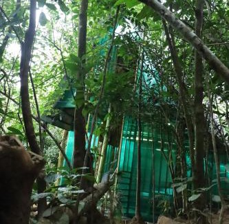 Hatton Complejo | Bamboo Cabana Adams Peak