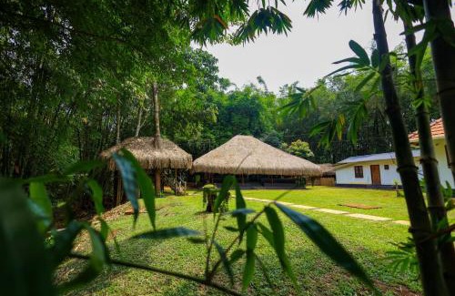 Mananthavady Cama Y Desayuno | Bamboo Grove