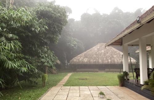 Mananthavady Cama Y Desayuno | Bamboo Grove